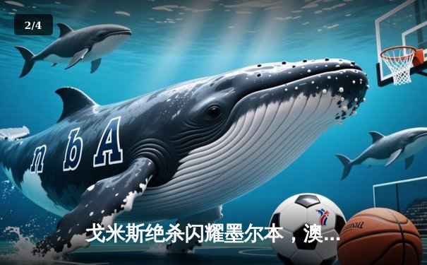 戈米斯绝杀闪耀墨尔本，澳网决赛德约科维奇憾负阿尔卡拉斯 - 2